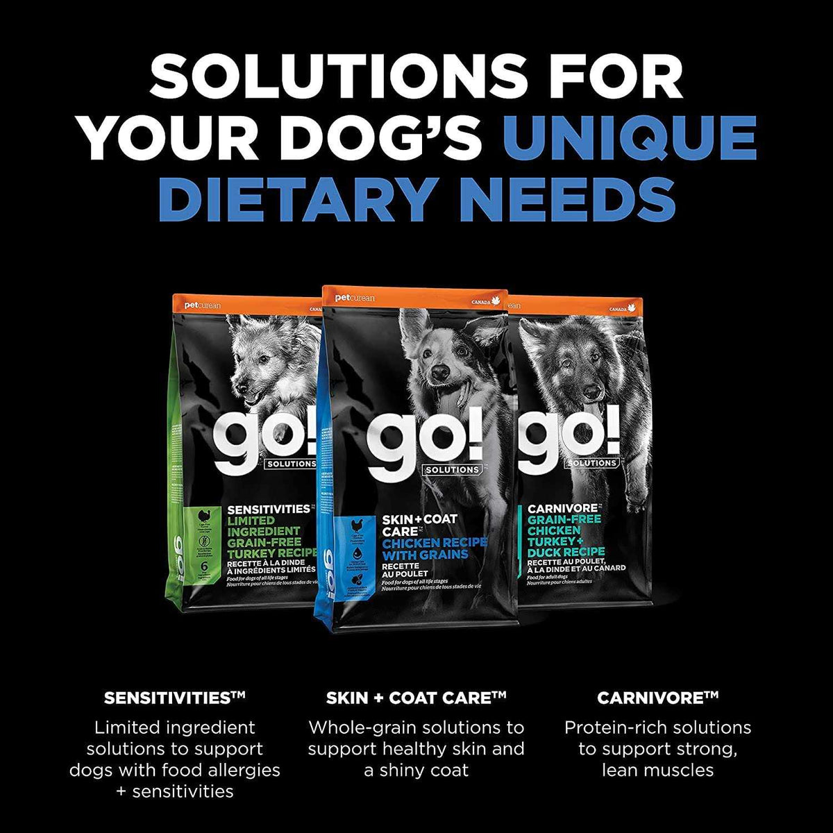 Chicken Recipe Dry Dog Food S358
