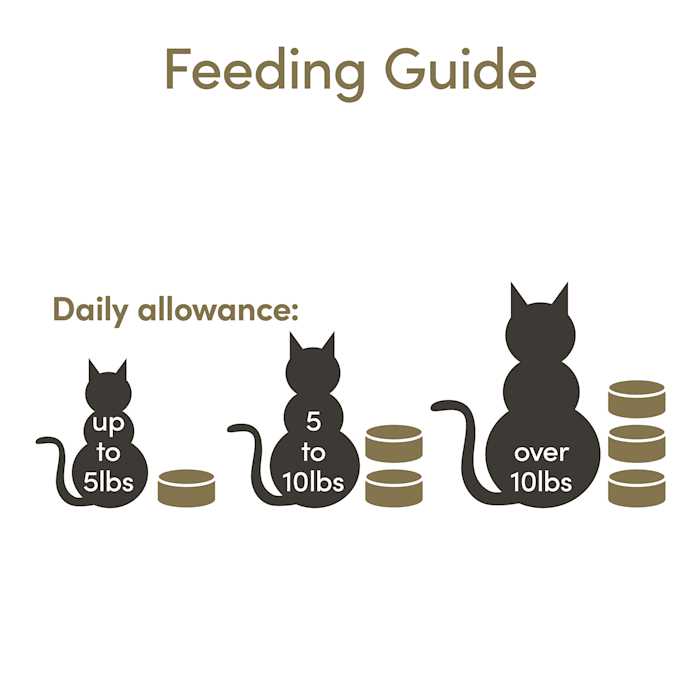 Cat Wet Food in Broth Variety Pack V599