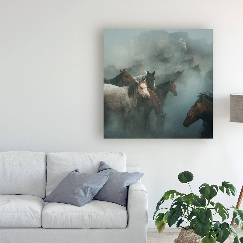 Canvas Print 'Lost Horses' T4902