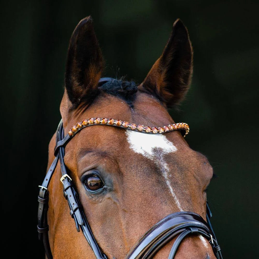 Black Warmblood Bridle I99365