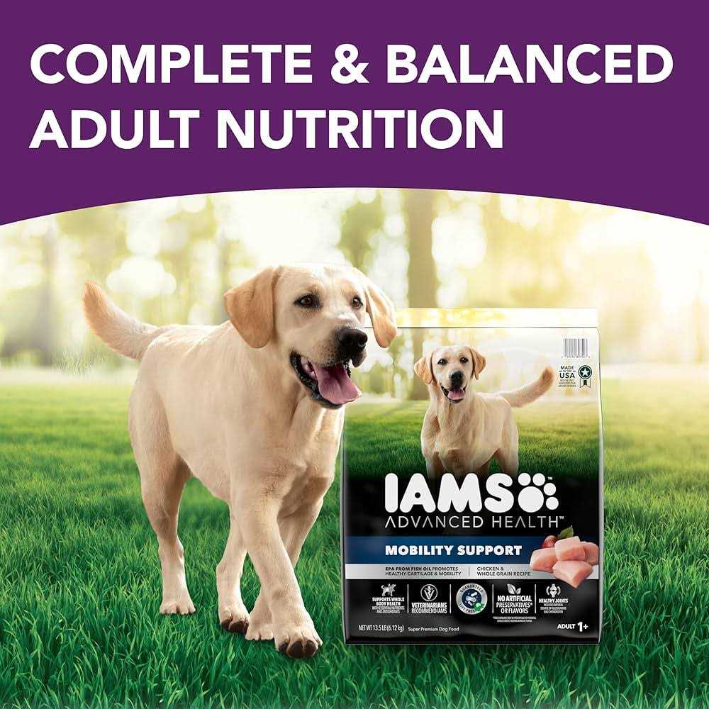 Chicken & Whole Grain Recipe Adult Dry Dog Food T4917