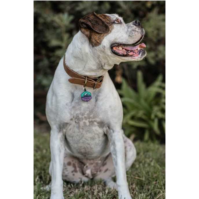 Silicone Dog ID Tag L510186