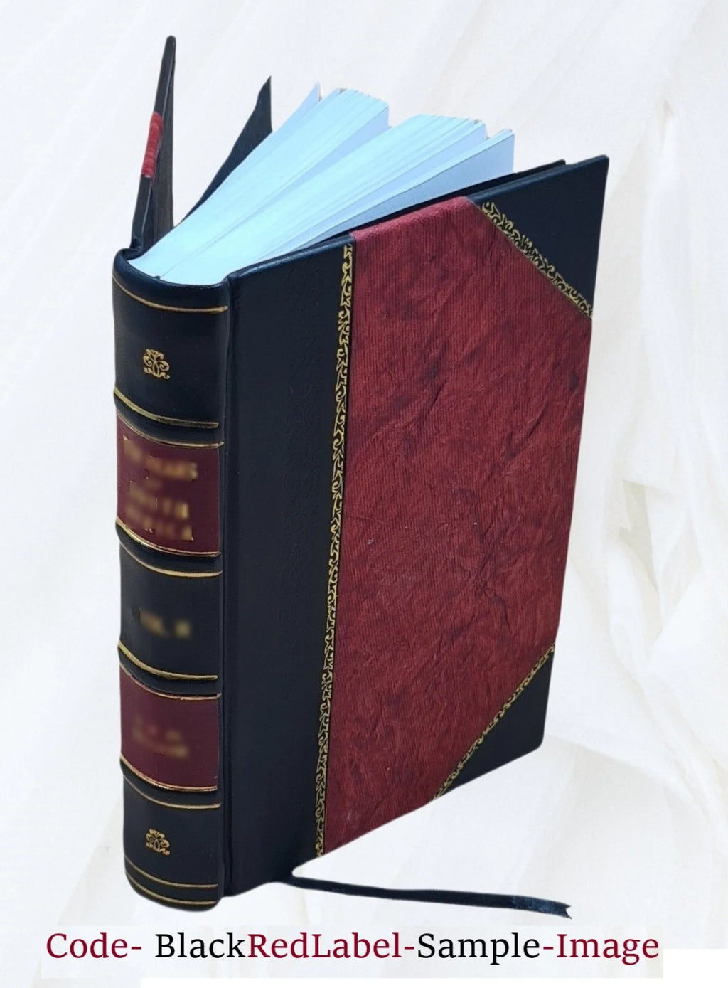 Recollections of a Diplomat 1918 Leather Bound B93901